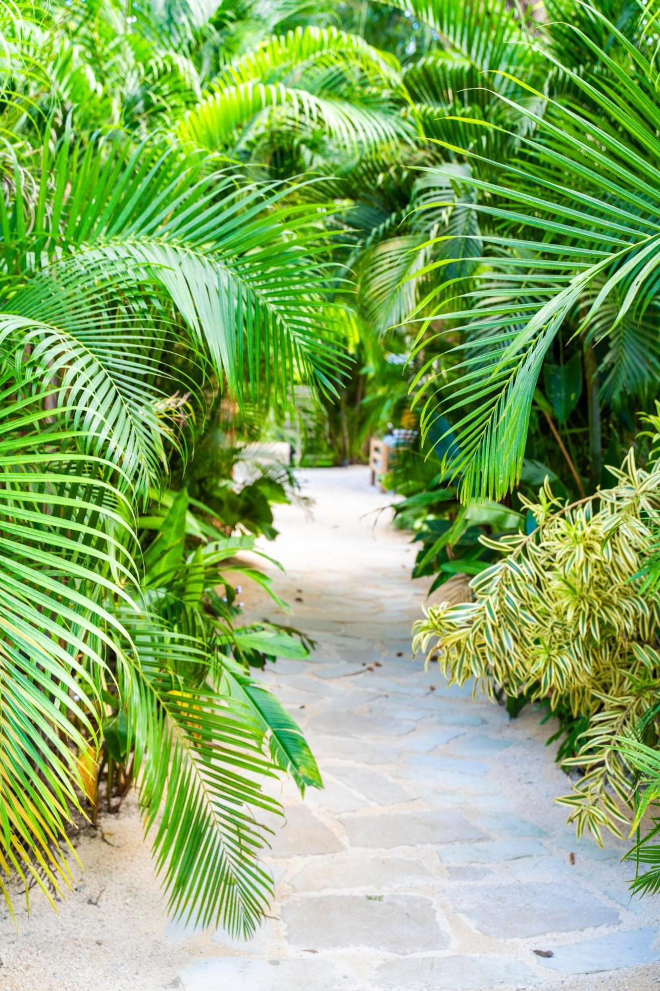 Norte Nosara - Steps To Playa Guiones Exterior foto